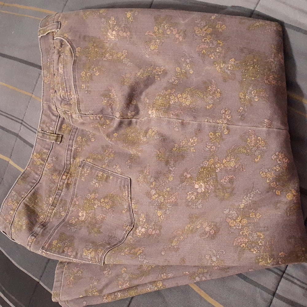 Cjbanks ankle pant in a size 18.